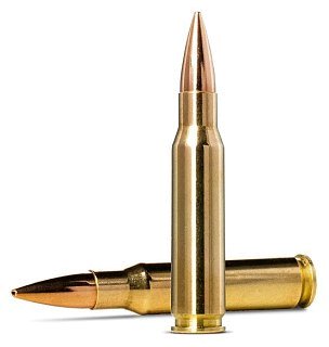 Патрон 308Win Norma 11,3  Golden Targer HP - фото 2