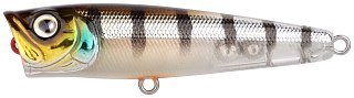 Воблер SPRO Ikiru Pop 65 FL Buzzer 