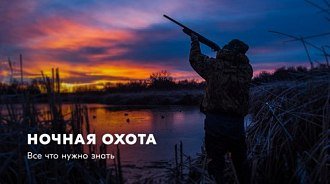 Ночная охота: законы, способы охоты и необходимое оборудование