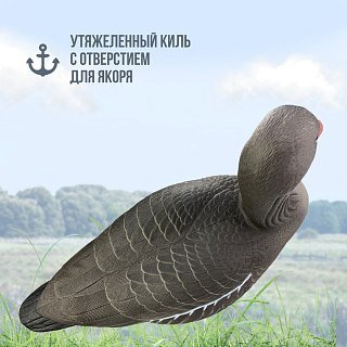 Подсадной гусь Taigan Goose плавающий белолобый - фото 5