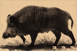 Мишень Кабан (картон)