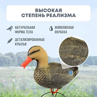 Подсадная утка Taigan Mallard кряква на стальном основании - фото 2