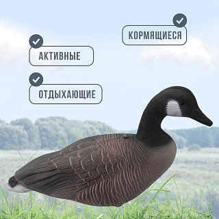 Подсадной гусь Taigan Canada Goose EVA комплект 6шт - фото 8
