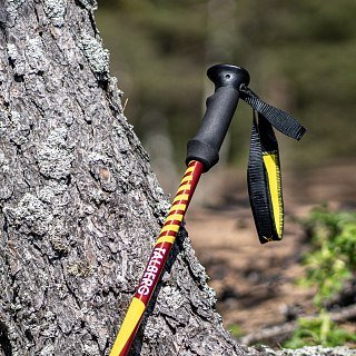 Палки Talberg CLASSIC POLE треккинговые 1 пара красный - фото 3