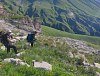 Приключения в Лаго-Наки: семейное восхождение на Фишт