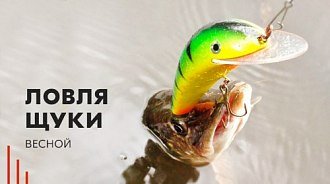 Щука весной: где искать, на что ловить, выбор снастей