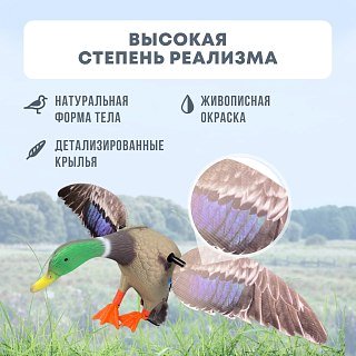 Механическое чучело Taigan Mid size Mallard Drake селезень  - фото 6
