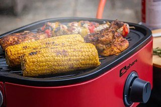МП Газовый гриль Mini BBQ Red - фото 12