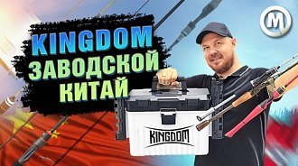 Kingdom: большой видеообзор на новый бренд