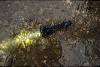 Фонарь Armytek Predator белый Com - фото 11