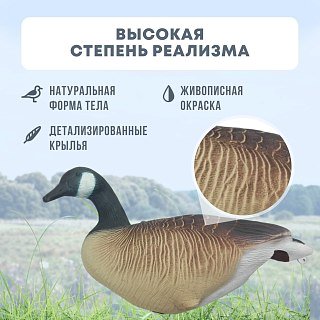 Подсадной гусь Taigan Canada Goose EVA комплект 6шт - фото 6