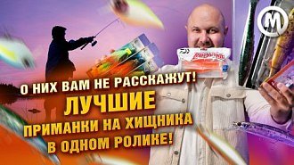 Лучшие приманки на хищника: новое видео