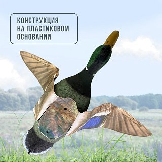 Подсадная утка Taigan Mallard летящая на пластиковом основании селезень - фото 6