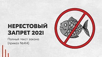 Нерестовый запрет 2021: полный текст закона (приказ № 414)