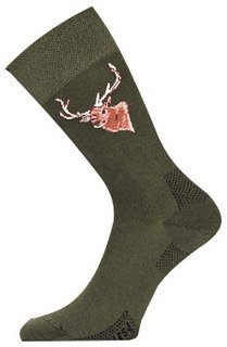 Носки Lasting LFSJ 620 cotton+polyamide зеленый с рисунком