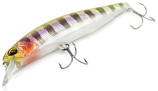 Воблер DUO Realis Jerkbait 100SP 100мм 14,5гр  цв.D58 - фото 2