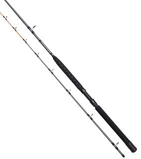 Удилище DAM Salmonizer Trolling 7'/2,10м M 12-25Lbs 2Sec - фото 1