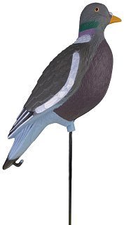 Подсадной голубь Taigan вяхирь - фото 1
