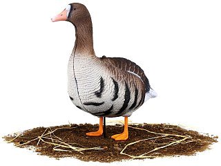 Подсадной гусь North Way белолобый Живое Перо набор 10шт - фото 16