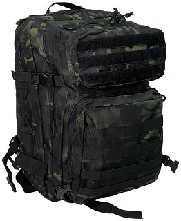 Рюкзак Taigan Storm 45L black CP 