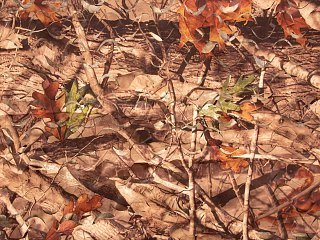 Сеть маскировочная ShotTime 1,4x3,6м нетканая бесшумная кмф лес осенний светлый - фото 3