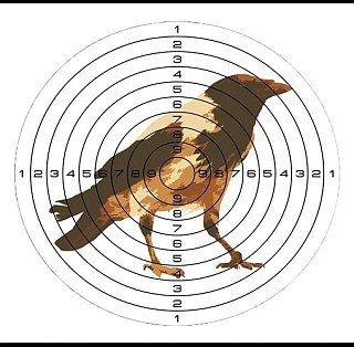 Мишень Ворон