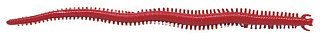 Приманка Berkley Gulp Alive Sandworm 6" 320гр Bloody - фото 1