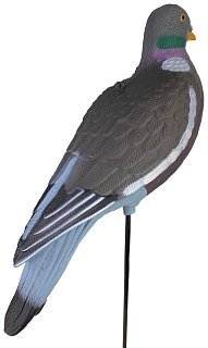 Подсадной голубь Taigan вяхирь - фото 2