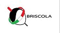 Briscola