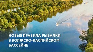 Новые правила рыболовства в бассейне Волги и на Каспийском море