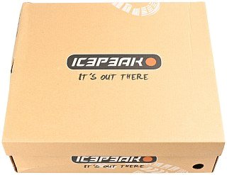 Ботинки Icepeak Wynne MR мужские 280 - фото 13