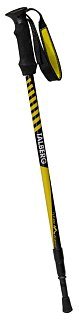 Палки Talberg CLASSIC POLE треккинговые 1 пара чёрный - фото 1