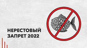 Нерестовый запрет в Астраханской области в 2025 году