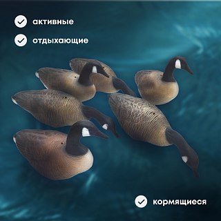 Подсадной гусь Taigan Canada Goose EVA комплект 6шт - фото 4