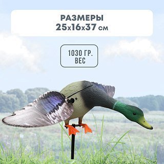 Механическое чучело Taigan Large size Mallard Drake селезень  - фото 5