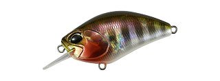 Воблер DUO Realis Crank 55SR Kabuki ADA3058