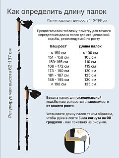 Палки Roadlike Protect для скандинавской ходьбы с антишоком Flip-Lock белый - фото 10