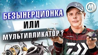 Безынерционка или мультипликатор?