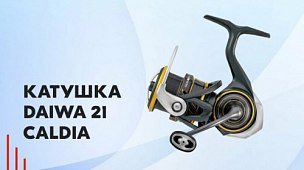 Катушка Daiwa 21 Caldia - уже в наличии!