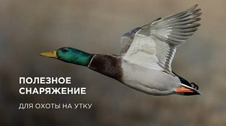 Что взять с собой для охоты на утку? Полезное снаряжение