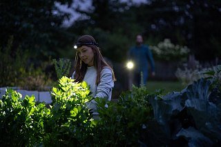 Фонарь Led Lenser H5R Core налобный - фото 8