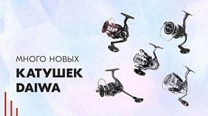 Много новых катушек Daiwa