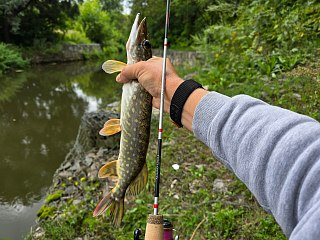 Спиннинг Волжанка Pro Sport Micro Game 0,5-4гр 1,8м  - фото 6