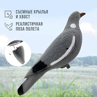Подсадной голубь Taigan Flossy с вращающ. крыльями - фото 8