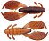 Приманка Reins 3" Ax Craw Spring Craw