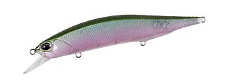 Воблер DUO Realis Jerkbait 110SP CCC3254