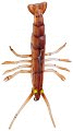 Приманка Savage Gear TPE Fly Shrimp 5см 2,65гр 02-Brown NL