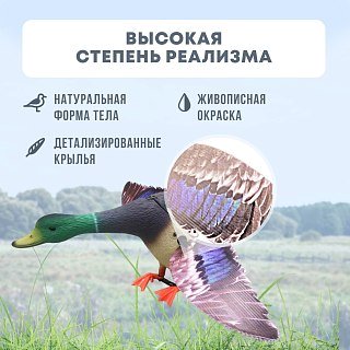 Механическое чучело Taigan Large size Mallard Drake селезень  - фото 3