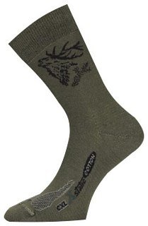 Носки Lasting CXJ 620 cotton+polyamide зеленый с рисунком