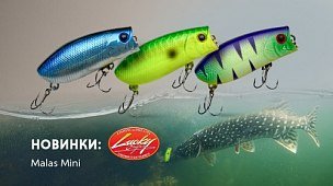 Новинка: воблер Lucky Craft Malas Mini